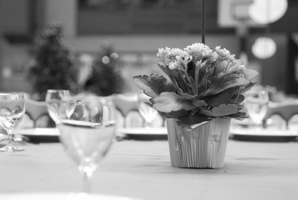 Voyage pour entreprise- RSE