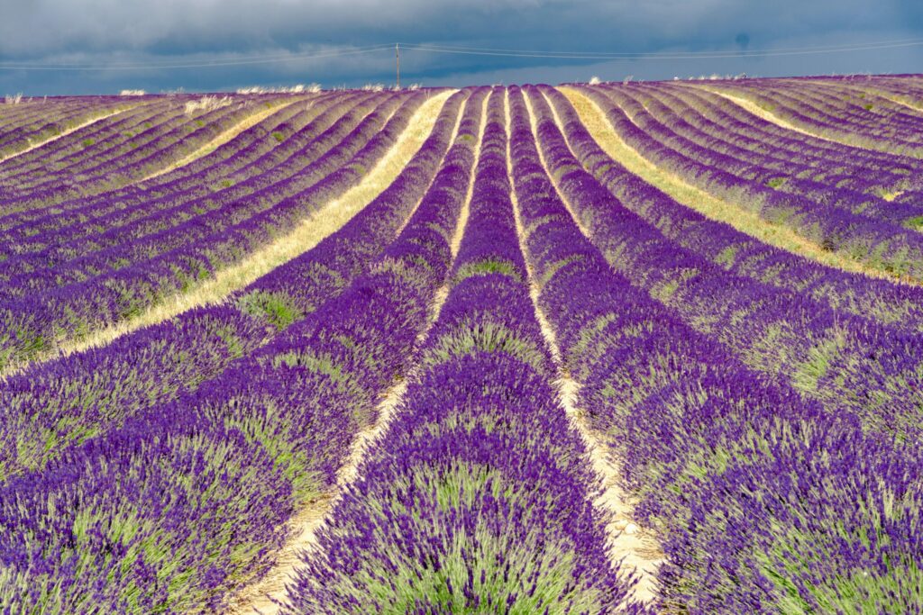 En France - entre tradition et modernité