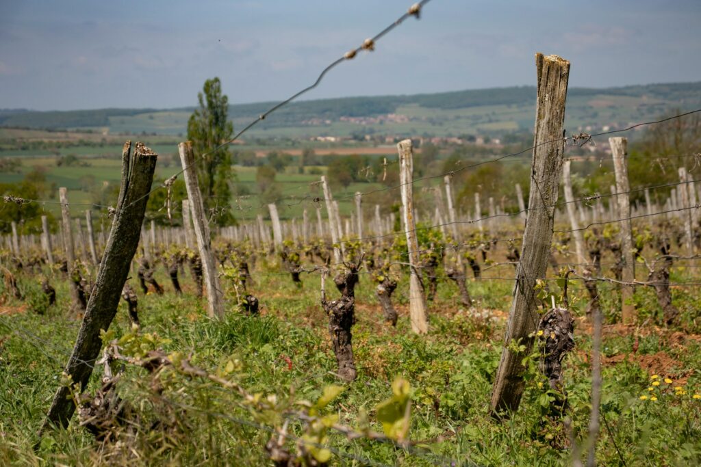 séminaire dans le beaujolais