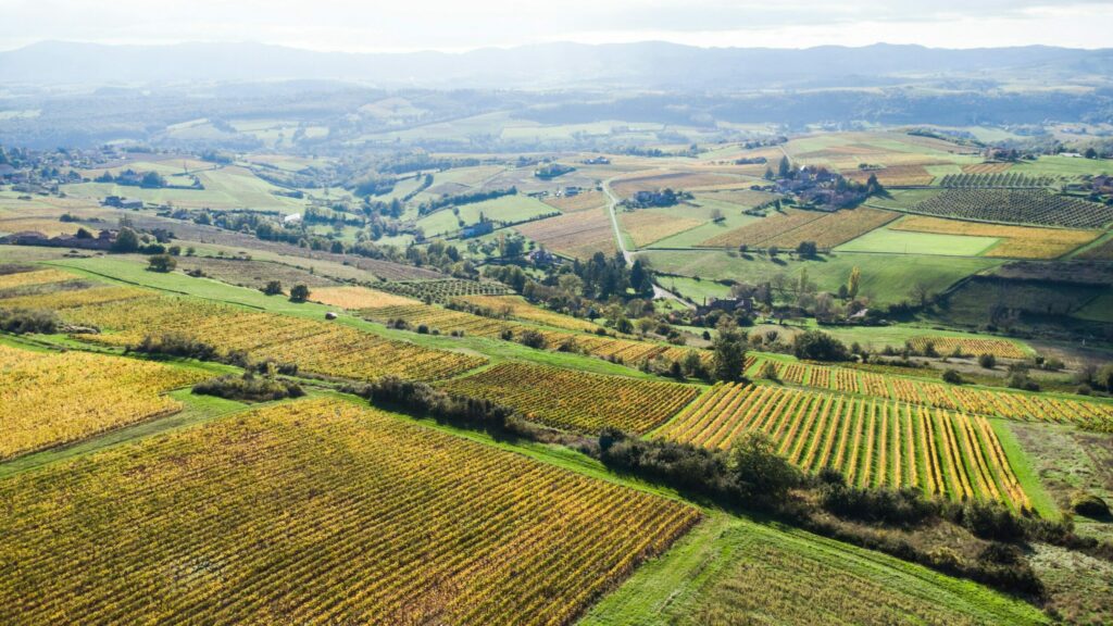 séminaire dans le beaujolais