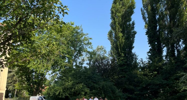 Organiser un team building