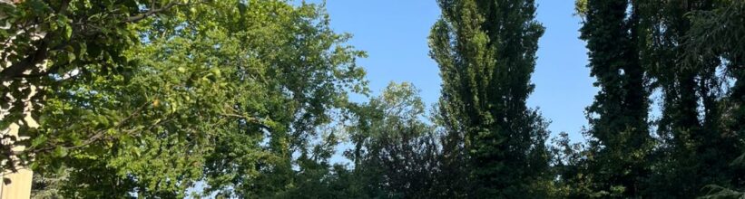 Organiser un team building