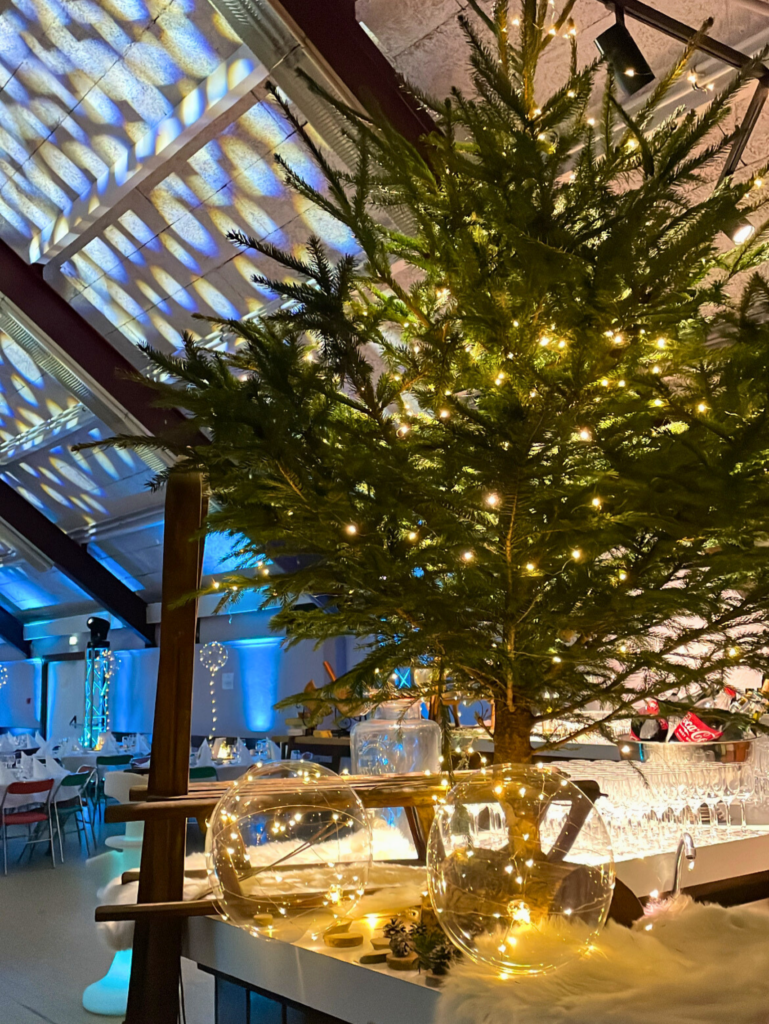 Dîner d'entreprise Scénographie hiver