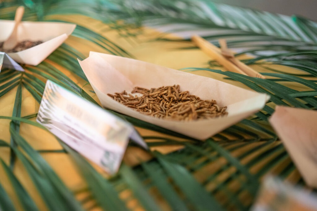 Lancement de produit 5