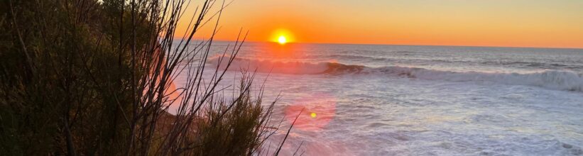 Motiver ses équipes misez sur le voyage de motivation en 2026